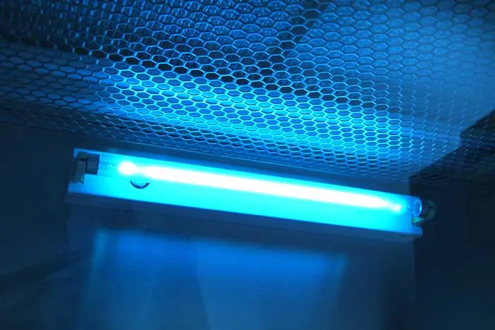 uv light and seasonal allergies UV Light and Seasonal Allergies: Find Relief at Home